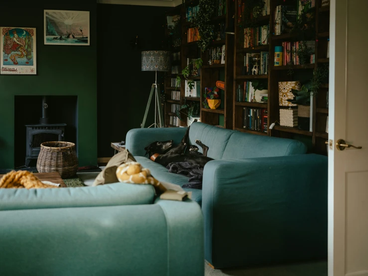 a living room with green walls and blue couches