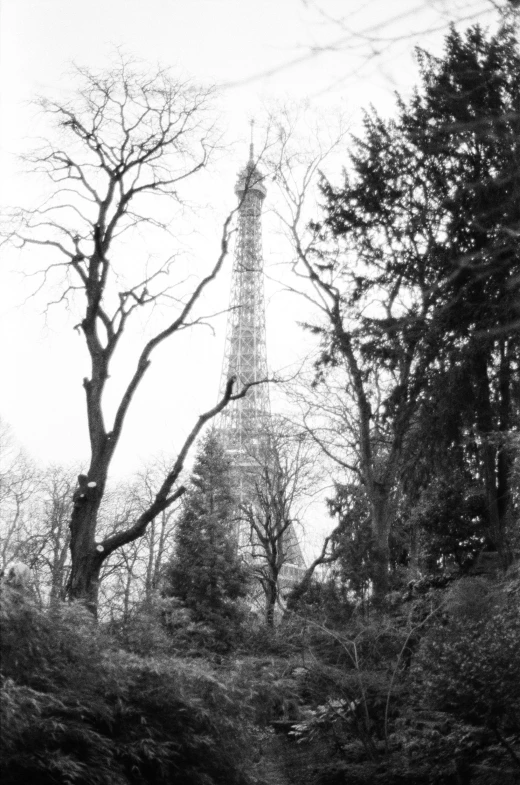 a tall tower in the distance with trees around