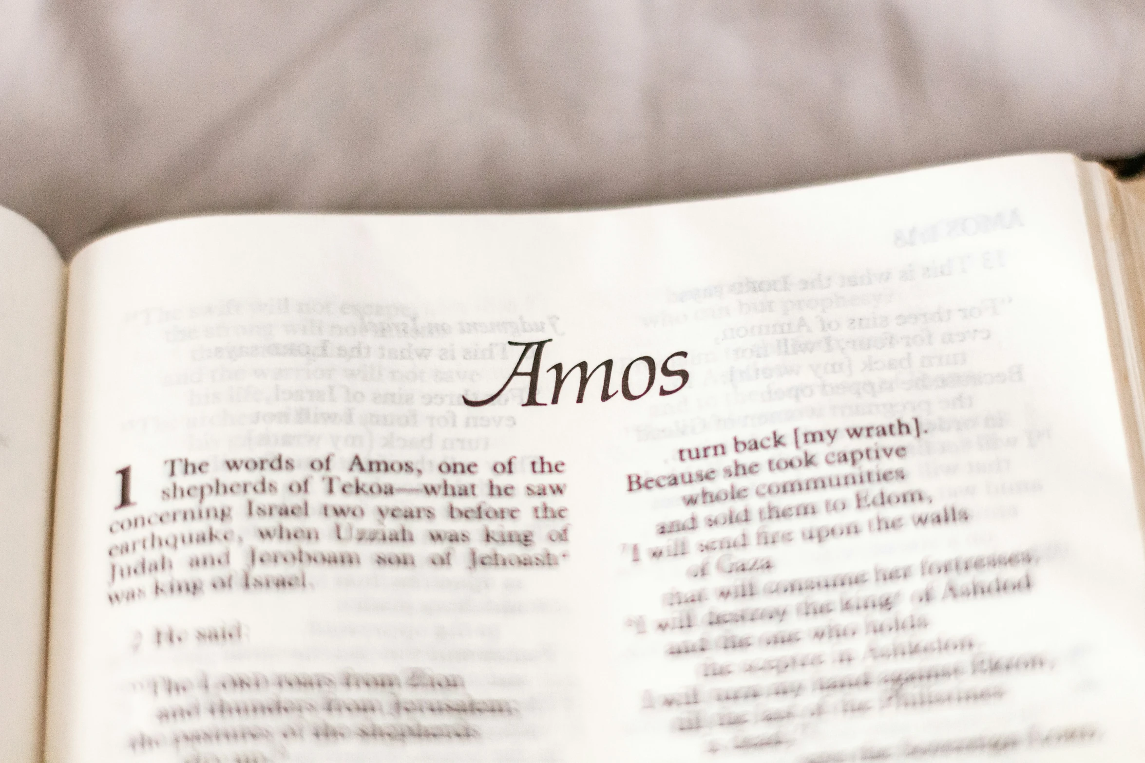 an open book with the words amos on it