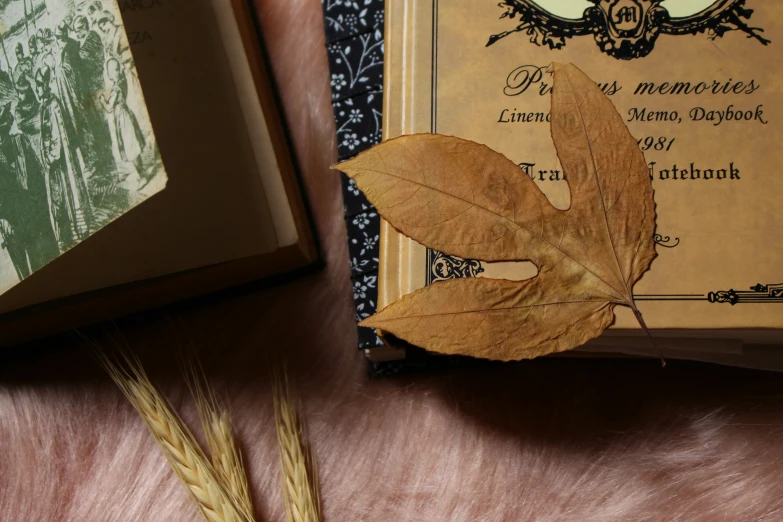 a book with an orange leaf laying on top of it