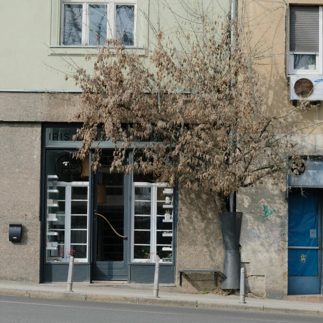 the outside of a building with a tree in front