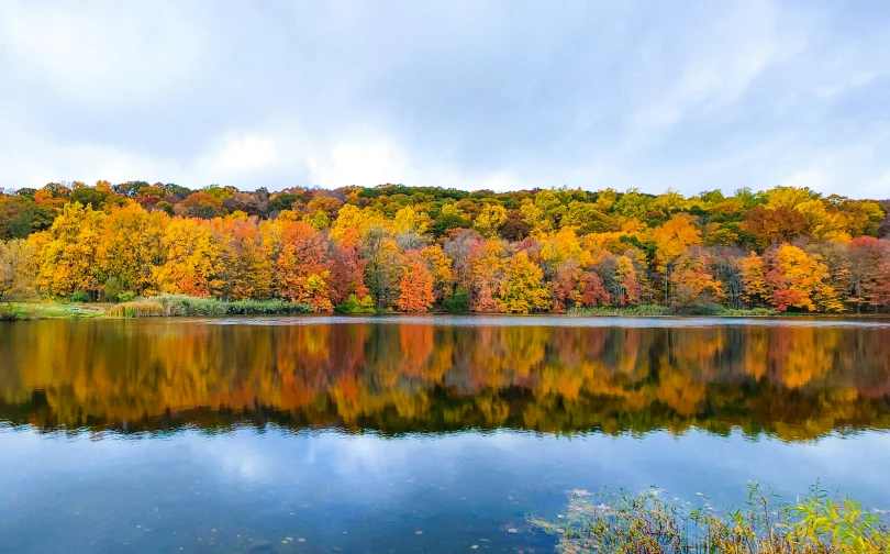 a lake that has some trees in it