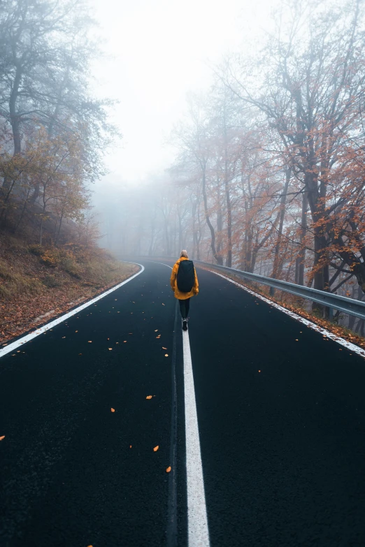 a backpacker is on a foggy road with trees in the distance