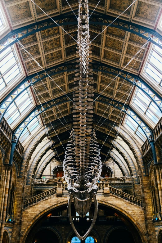 the whalebone sculpture is suspended in a large, ornate atrium