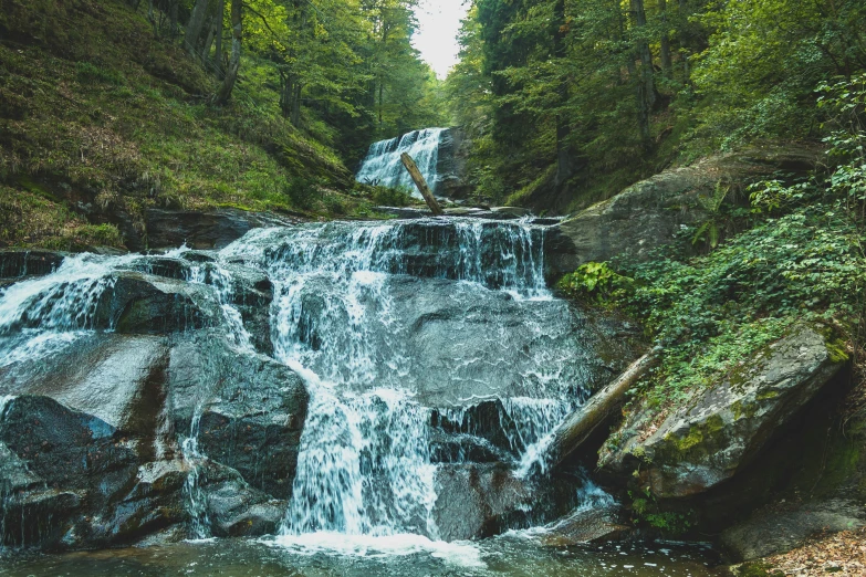 a river with water running down it near trees