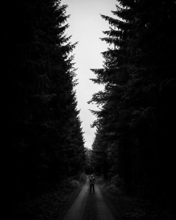 a person walking along a dirt road surrounded by trees