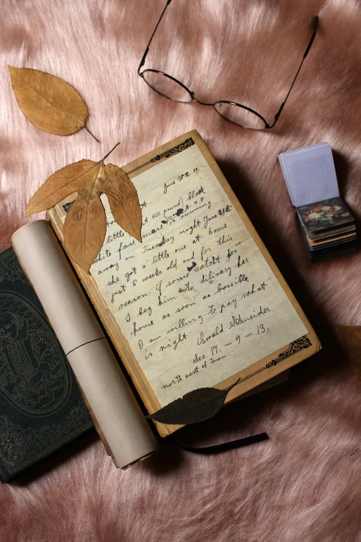 a book opened up with writing, glasses and a leaf