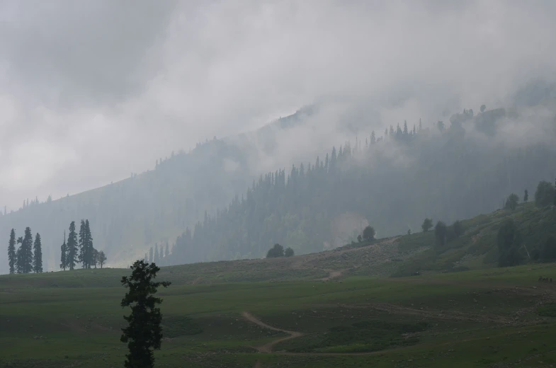 a large hill with many trees in the foreground and thick clouds over it