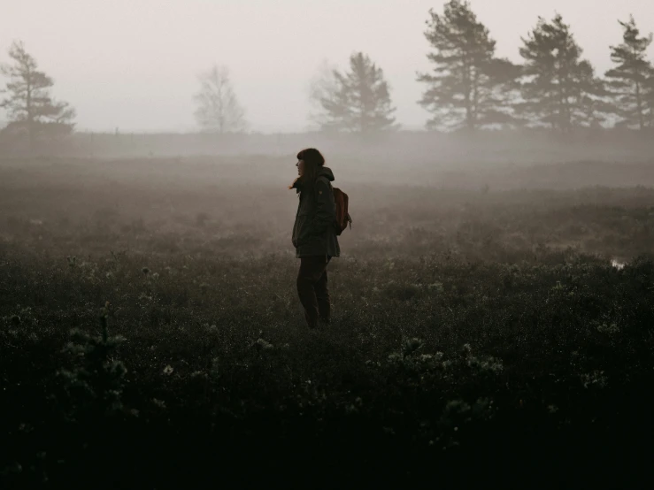 the person is in the foggy forest walking