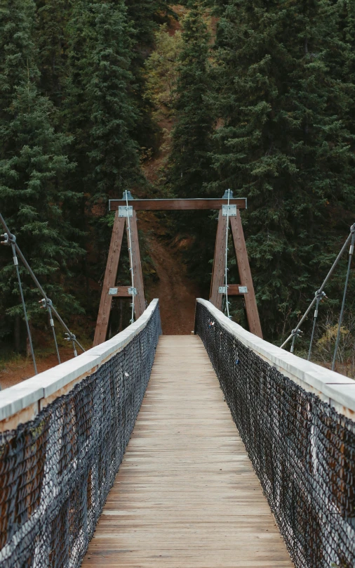 a long suspension bridge surrounded by trees