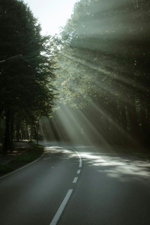 sunbeams shine brightly through the trees on a dark road