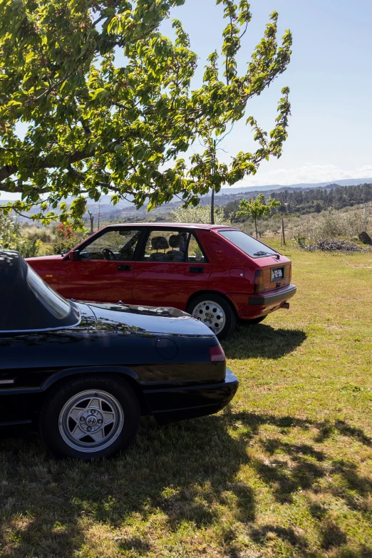 two cars parked on a grassy field beside a tree