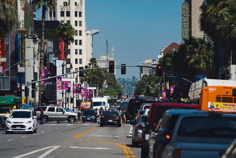 cars and buses stopped at a red light