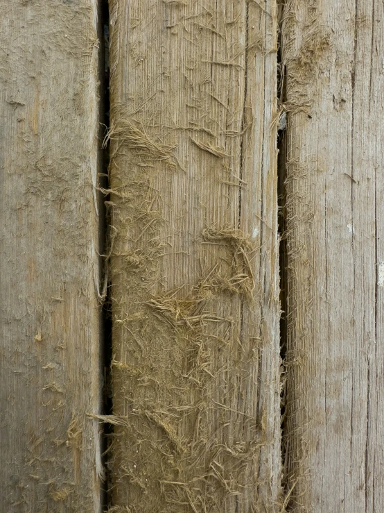 an animal that is standing on the side of a wooden post