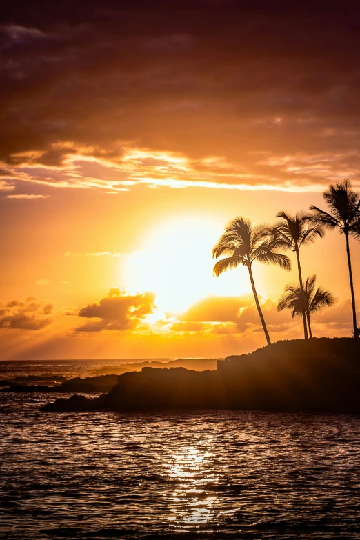 an island with palm trees on it next to the ocean