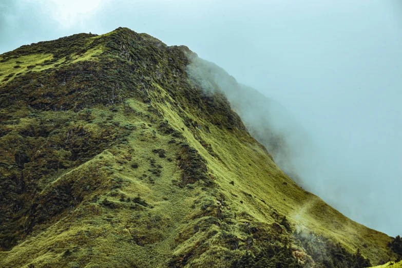 the top of a hill covered in moss and low fog