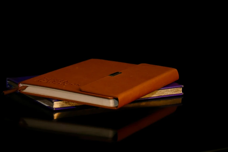 two books with a brown binding sit atop each other