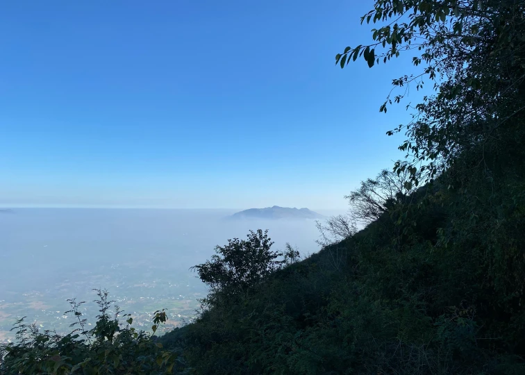 a view of mountains and fog from atop a hillside