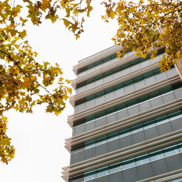 the top of a building surrounded by a tree filled with leaves