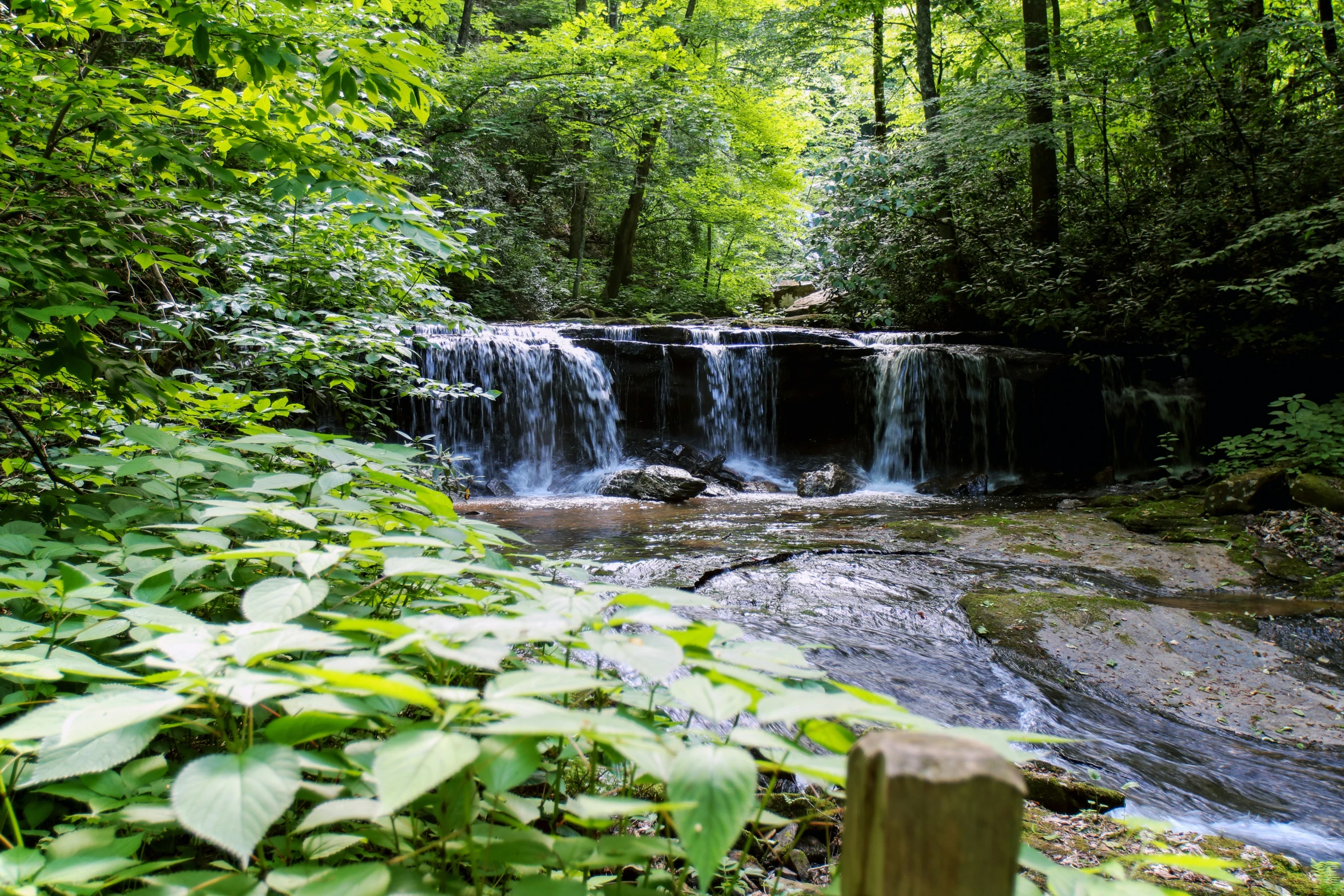 this is an outdoor po of a waterfall in the woods