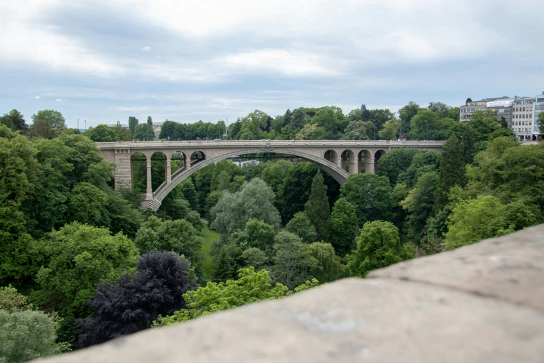 the bridge is high above the trees outside