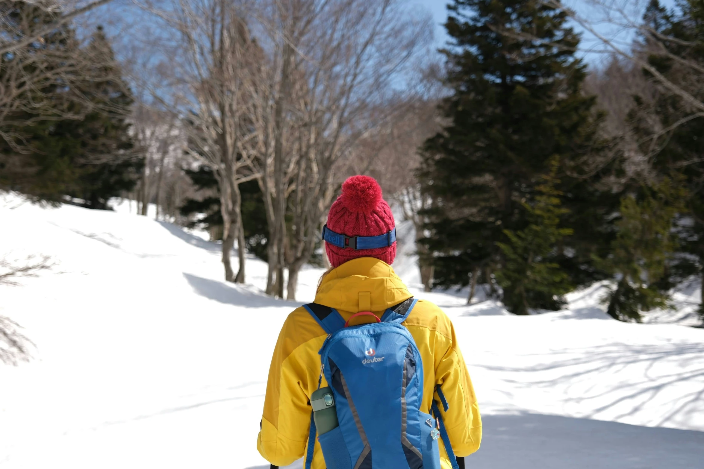 the back view of a man walking across a snowy field