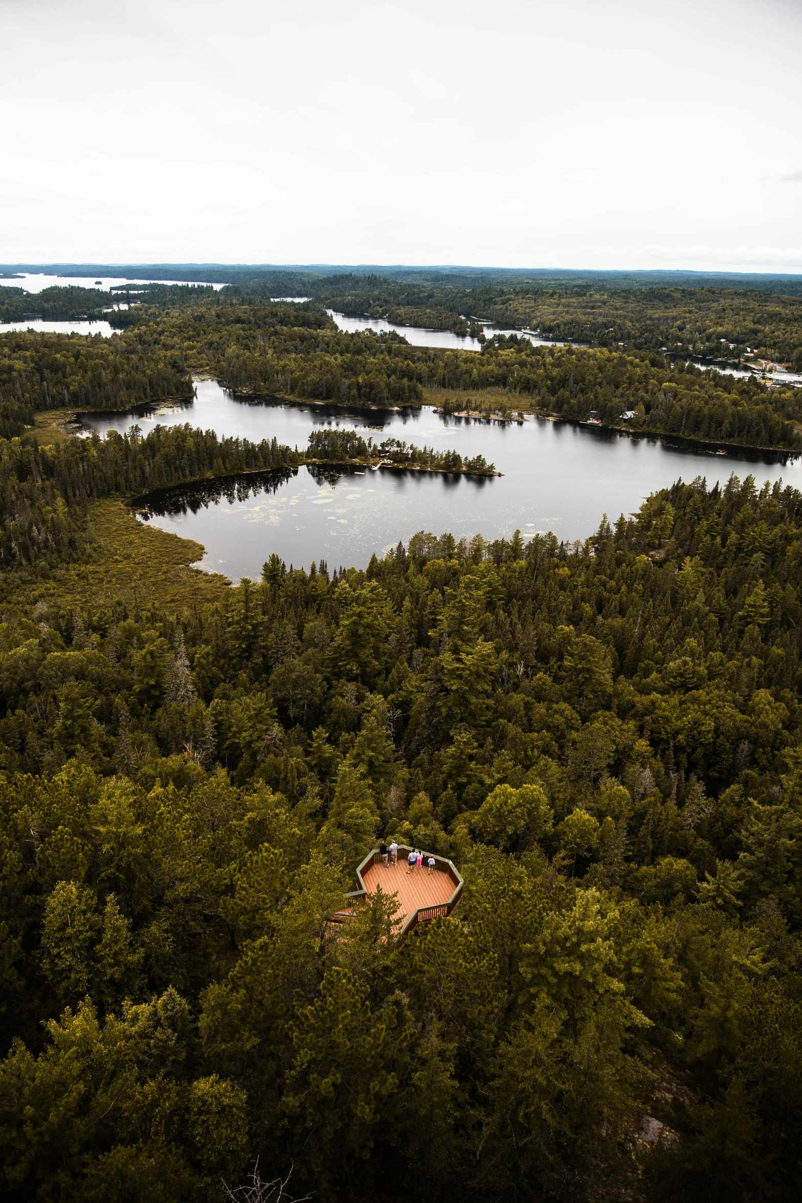 an aerial po shows water and trees