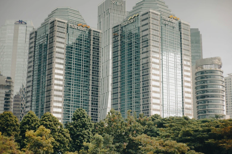 large tall buildings stand in front of green trees