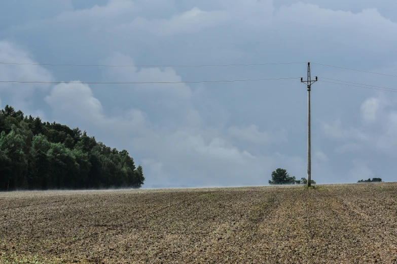 a single power line stretches across a farm land