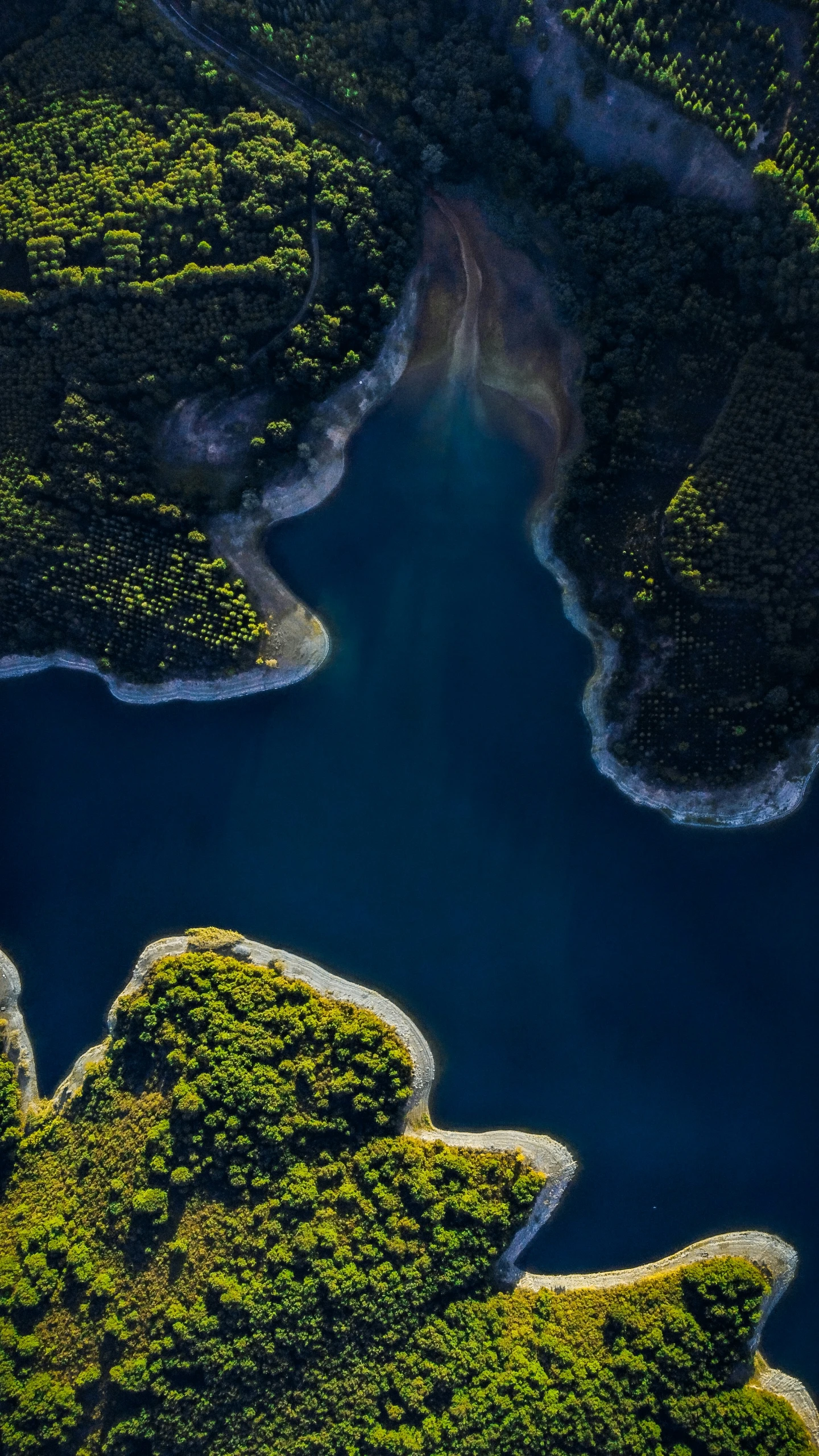 aerial view looking down at trees, water and mountains