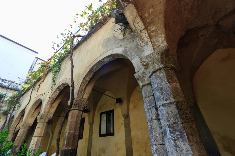 the stone pillars have flowers growing on them