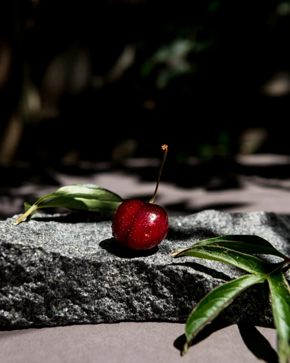 two small cherries on top of a gray rock