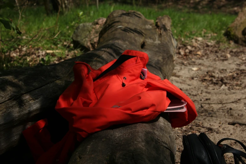 a red jacket and other items are placed on a log