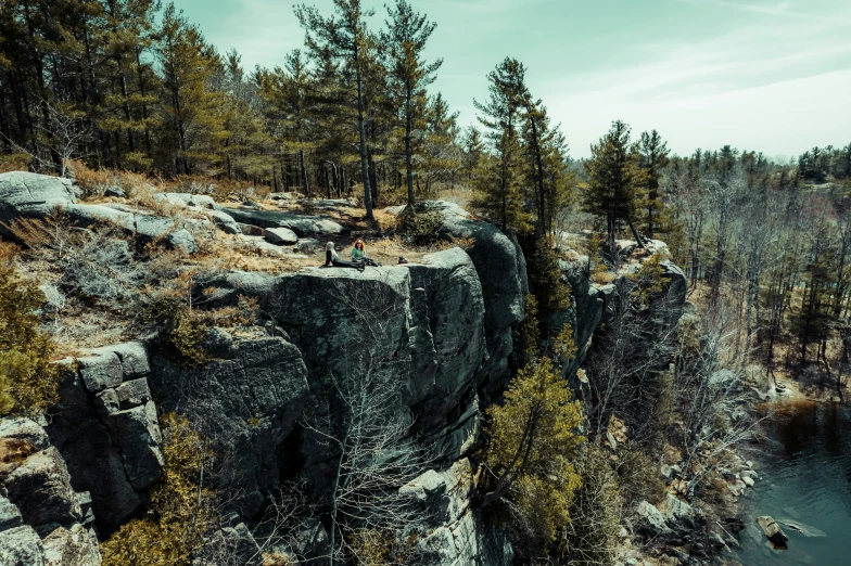 a large cliff that has many trees on it