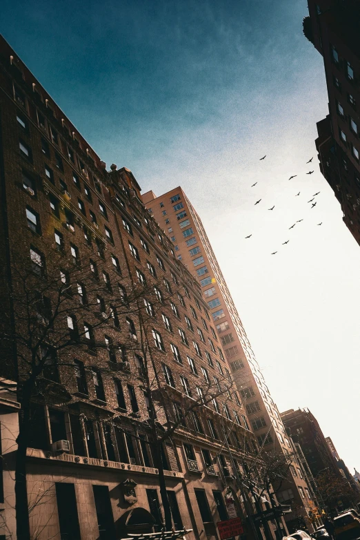 the sky is very clear, over many buildings