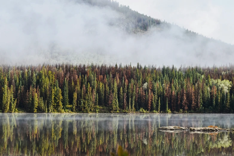 the water reflects the trees and hills in the distance