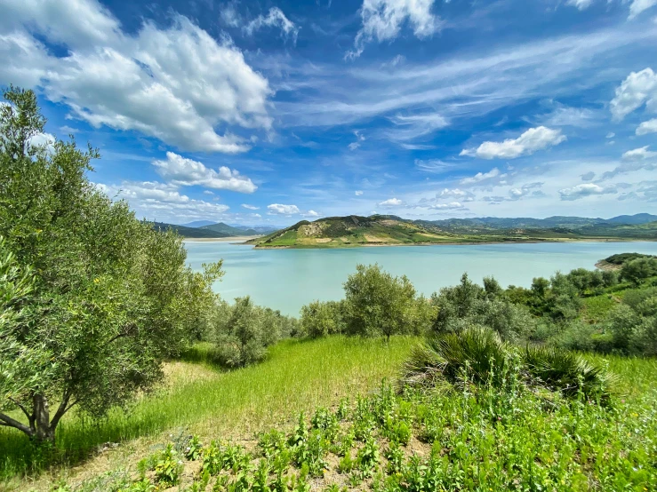 a view of a lake surrounded by grass, and trees