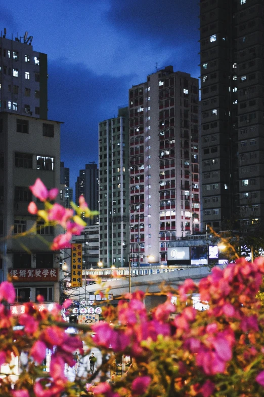 the city is lit up at night with pink flowers growing in front of it