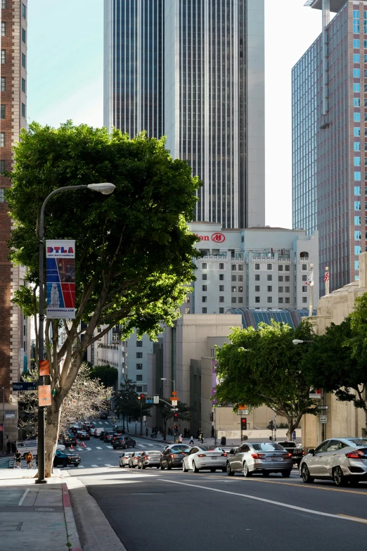 city streets with buildings, trees and cars