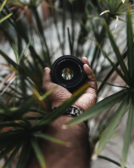 someone holding their camera with their hand out