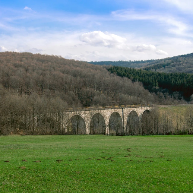 a big stone bridge over a lush green field