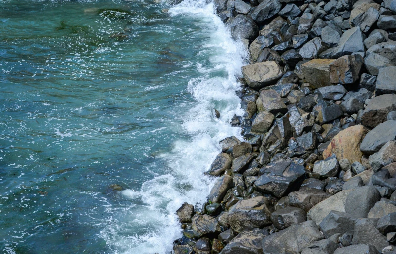 rocks line the shoreline next to water and some white flowers