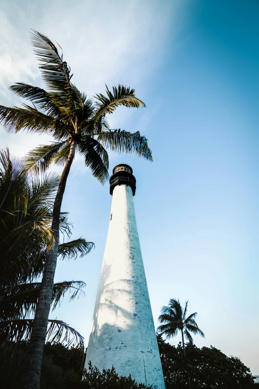 there is a lighthouse under some palm trees