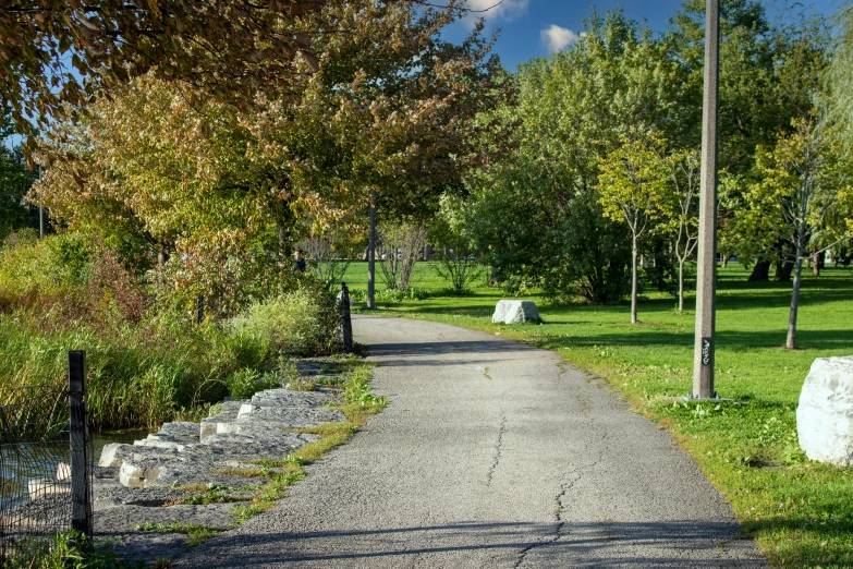 a paved road is surrounded by lots of green trees