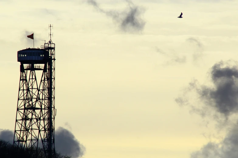 a tower with a weather vane and a bird flying over it