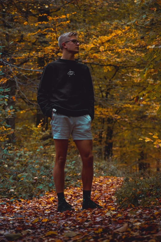 a man standing in a forest next to trees and leaves