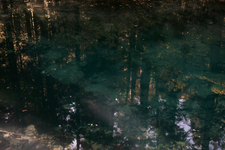 a river filled with green water next to trees