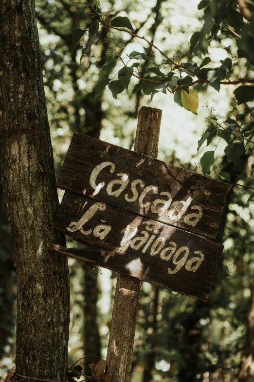 a wooden sign saying good is a good day in a forest
