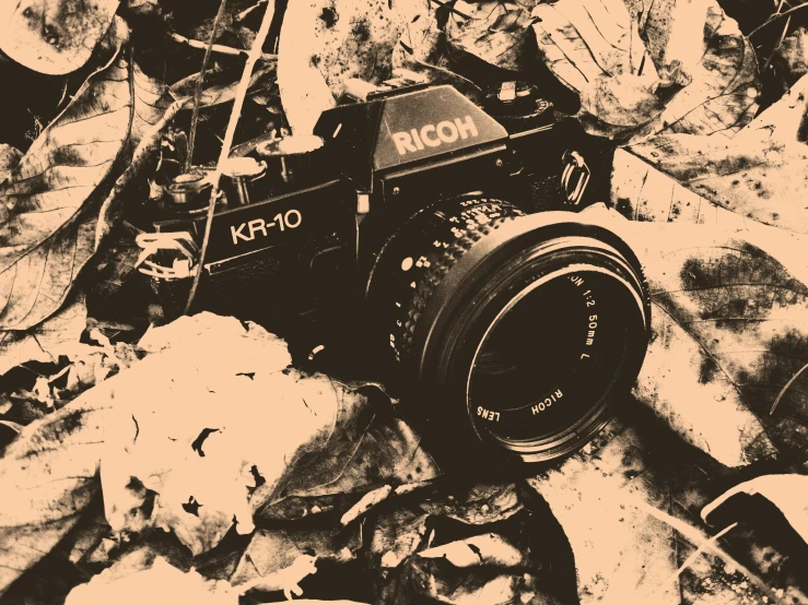 a black and white po of a camera and some rocks