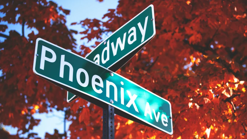 a couple of street signs near trees with leaves in the background